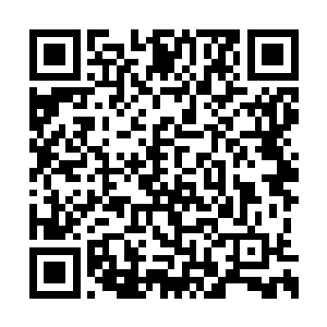 同样没有想到陈博文此时此刻对说出这样一句话二维码生成