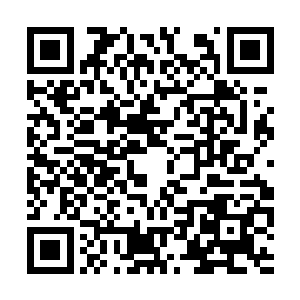 同样的一幕穆根身后的秘书先生和专家们也看到了二维码生成