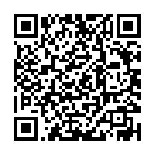 同样的一招四品剑技光旋雷炎波再度从剑中施展而出二维码生成