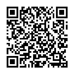 同样的这四个地方在当年都是属于其他家族所居住的区域二维码生成