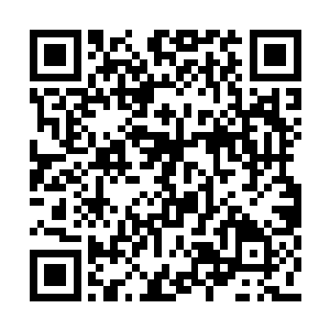 同样盯着下面的广令公察觉到身旁的王妃没反应二维码生成