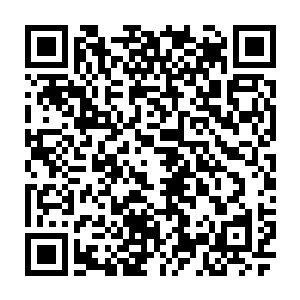 同样被林烽抢去风头的奥数皇后冯雨菲也是饶有兴趣地看着正在跑步的经济二维码生成
