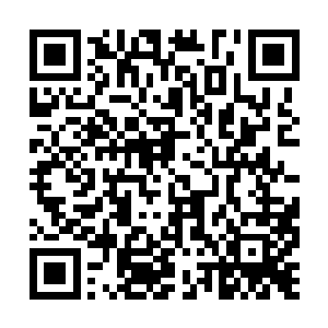 同样趁着叶青扛过一击创造出来的三十息安全时间二维码生成