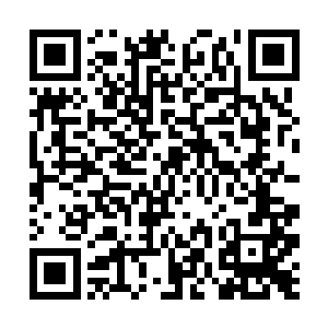 同样黑灿灿散发着灵光的十枚极品仙石就浮在手心中二维码生成