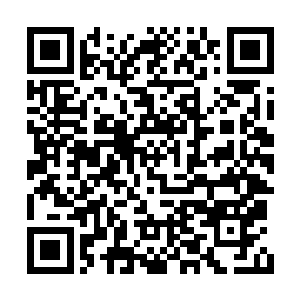 同桌的几个人眼里都露出了熊熊燃烧的八卦之火二维码生成