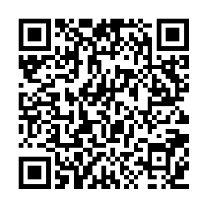 同歇在屋里睡榻上的扈秋娘跟绿蕉也立即睁开眼二维码生成