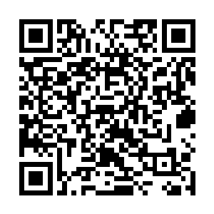 同沢田纲吉一样受到了成吨惊吓的狱寺率先反应了过来二维码生成