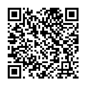 同盟方面在大地上投放了无数全自动化的恐怖机器人二维码生成