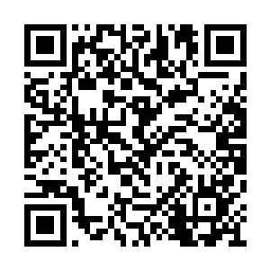 同莫昕岚漆黑深沉且有几分隐隐悲伤的眸子对视二维码生成