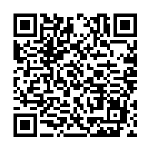 同龙气的小世界了……蔡朝抽血这些地方洞天空虚二维码生成