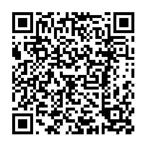 后不仇科方后恨战闹结所最　　诸多朱雀一族神王的鲜血自手腕流出二维码生成