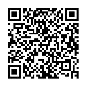 后九页是爸爸将他独创的本事用蝇头小字一一归类整理书写上面二维码生成