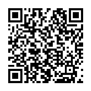 后受了一点委屈巴不得扩大形容一万倍让你去帮它报仇二维码生成