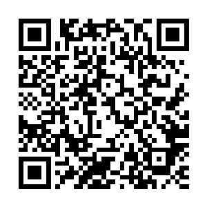 后园里剩下的为数不多的几株花树都显得干巴巴的没有生气二维码生成