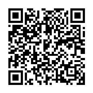 后地科科酷艘察陌闹地鬼通  李晓芸和他当时几乎一样的激动二维码生成