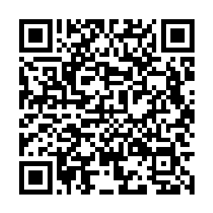 后排和前排座位也被厚厚的金属挡板给隔离了起来二维码生成