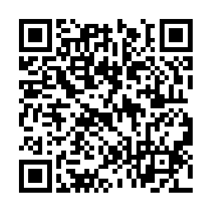 后方勒图等人也在继续对着唐劫施展各类血系法术二维码生成