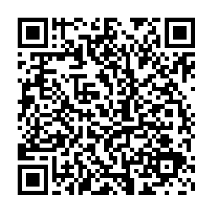 后期的军队依旧留在秦王川等待那些被派出去打探军情的斥候回归二维码生成