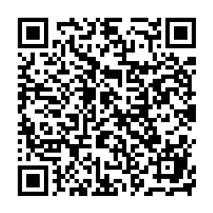 后来不知什么原因林鸿儒也就是林诗音的父亲竟辞官回了故乡钰灵城二维码生成