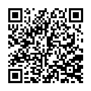 后来不管她如何的想要挽回都无法争取女儿的理解了二维码生成