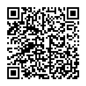 后来他们在快要靠近土城范围的草原地区还找到了一种非常适合做苦力的动物二维码生成