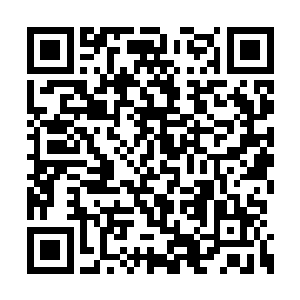 后来他发现这些灵草实际上根本就用不了这么多二维码生成