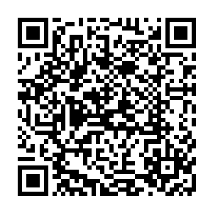 后来北美广播影评人协会奖也取代了美国国家影评人协会奖的奥斯卡风向标地位二维码生成