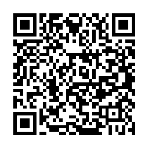 后来又因意外的激发了太始仙藏之地的太始传送阵纹二维码生成