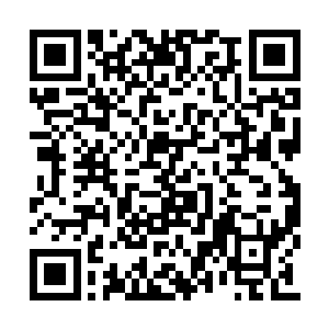 后来又被吕轻尘夺取的超级人工智能专用巨神兵二维码生成