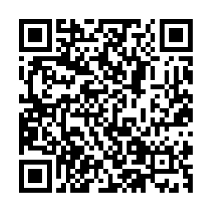 后来可能看他们三个只是眼神热烈点并没有什么攻击性的动作二维码生成