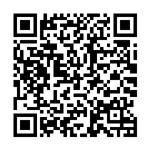 后来姑姑在青羊宫里提议徐凤年先将先手五十招登峰造极二维码生成
