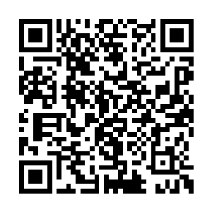 后来嬴家这边的琴妃在御田那边出现异常被带走二维码生成