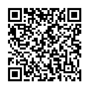 后来就连木劲峰这个和自己如此亲近之人都忍不住动手了二维码生成