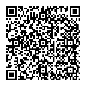 后来居上的金牛圣骑看着躺在地上的苏凡瞬间抬起了自己的右脚狠狠的朝着苏凡的腰部一脚狠狠的踩了下去二维码生成