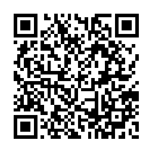 后来想到严老将军原也打算叫少爷娶李大娘子的二维码生成