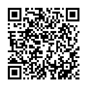 后来我还收集了很多演武者的灵魂以及生命元力给花灵二维码生成