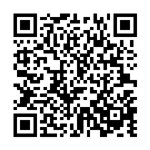 后来抽调到政法委工作一段时间过后下挂到基层乡镇二维码生成