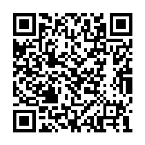 后来每天我都会被要求去跟着朽木仙人学习法术二维码生成