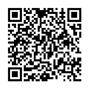 后来清竹谷内多了一个整天蹦蹦跳跳的人影――正是怜月二维码生成