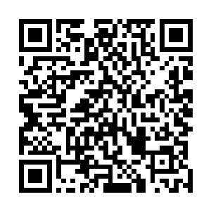 后来狗东西对他提出的某个设想表示出非常感兴趣的样子二维码生成