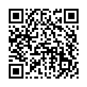 后来看到程家放了一个很大的鱼灯二维码生成