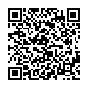 后来那客人托朋友关系亲自从国外酒厂买的正宗酒水二维码生成