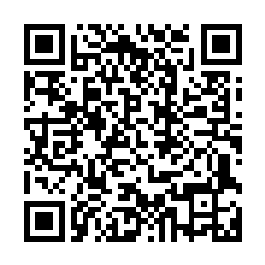 后楚和晋朝的边境并不是好似一般的国家一般是一片荒芜之地二维码生成
