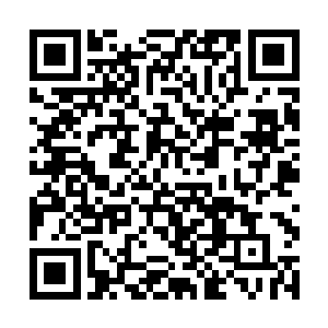 后续再支援不了你……叶君何不等青鸾仙子到场再说二维码生成