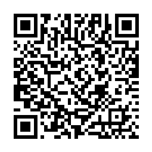 后者也确定了会向诺贝尔奖提名委员会提交他的名字二维码生成