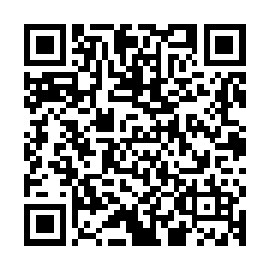后者还悠哉游哉地看手腕上带着的那个……那个布满尖刺的护腕二维码生成