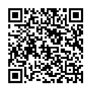 后者还是希望和马文交流更多的关于天醒者的事情二维码生成