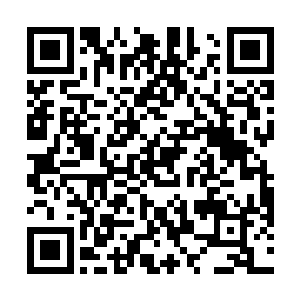 后面从深坑中冲出来的圣弃界圣帝见自己人被阵法困住二维码生成