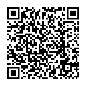 后面大多兵众都全然不知前面数百人为何就像是看到吞人恶兽般纷纷逃命二维码生成