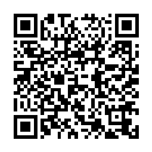 后面我仍然会按照4个金币一支的价格给你们供货……二维码生成